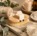 🌿Brosse de massage Tampico